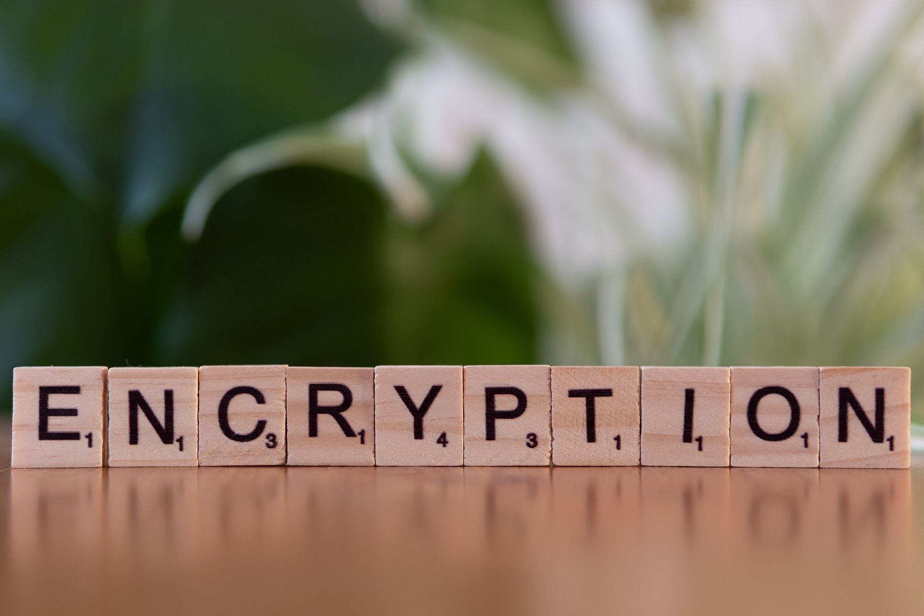 Best Free Password Managers in 2026: Bitwarden vs 1Password vs Dashlane vs KeePass for Indian Users Data encryption security wooden blocks digital protection